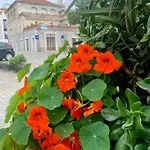 505 * São Martinho do Porto