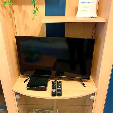 505 São Martinho do Porto